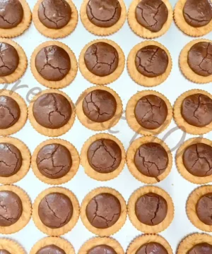 บราวนี่แครกเกอร์เนื้อฟิลม์