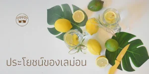 ประโยชน์ของเลม่อน