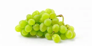 ประโยชน์ขององุ่นไซมัสคัส