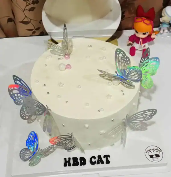 เค้กผีเสื้อ 3 ปอนด์